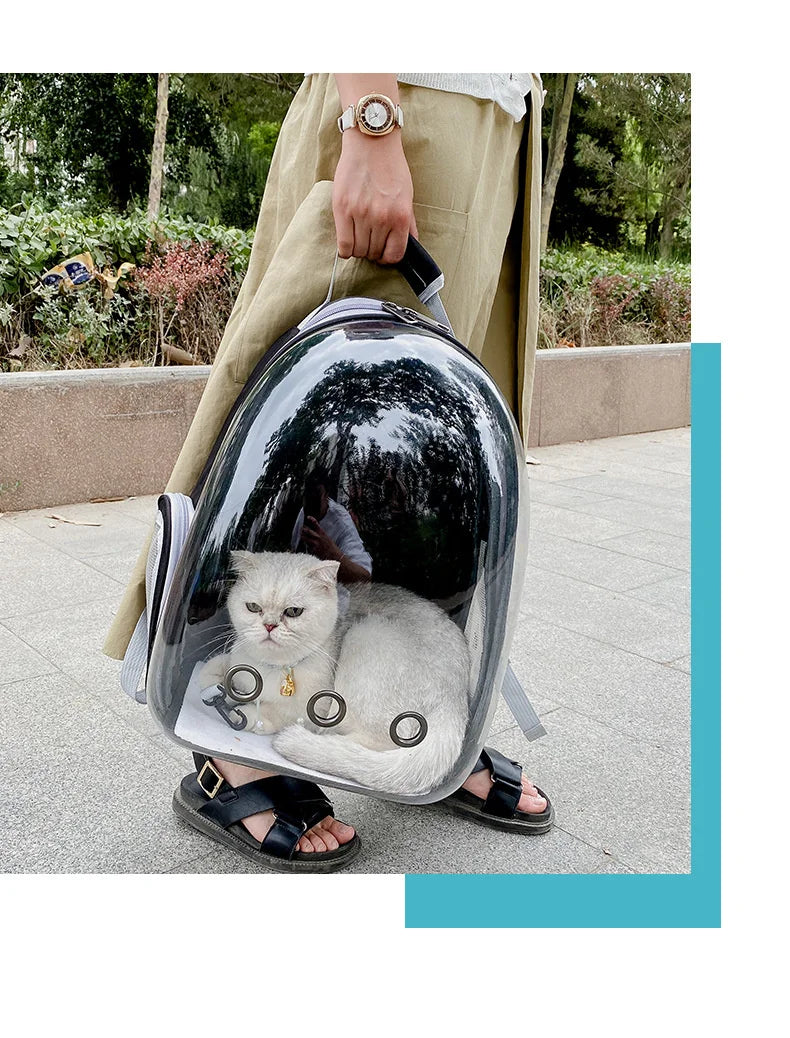 Transparent pet bag, pet backpack, breathable and wear-resistant, small dog backpack, cat backpack for going out.